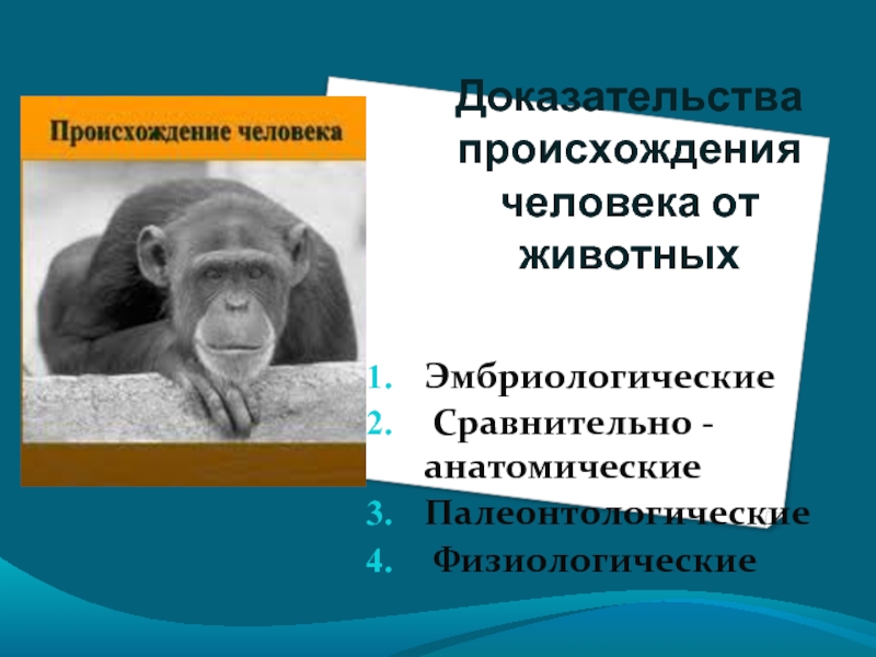 Доказательства происхождения человека от животных презентация