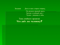 Что дает лес человеку?