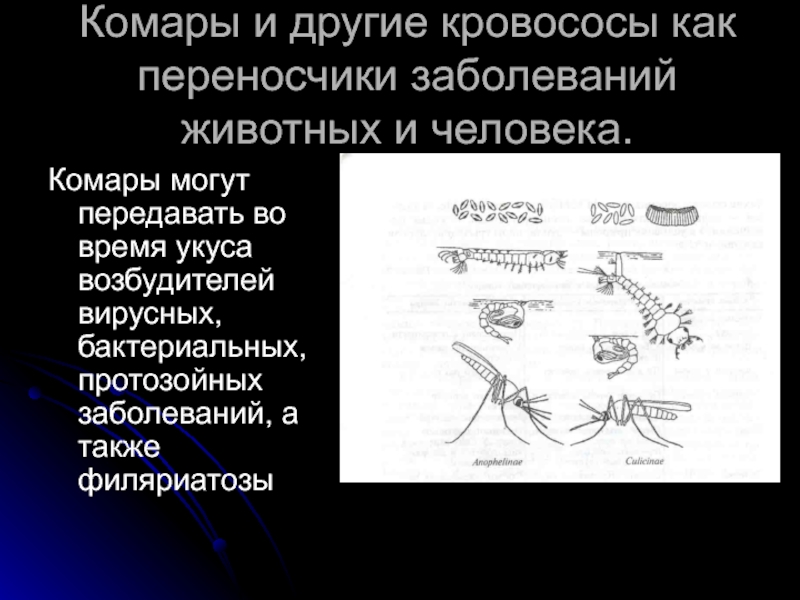 Карта комаров и мошек