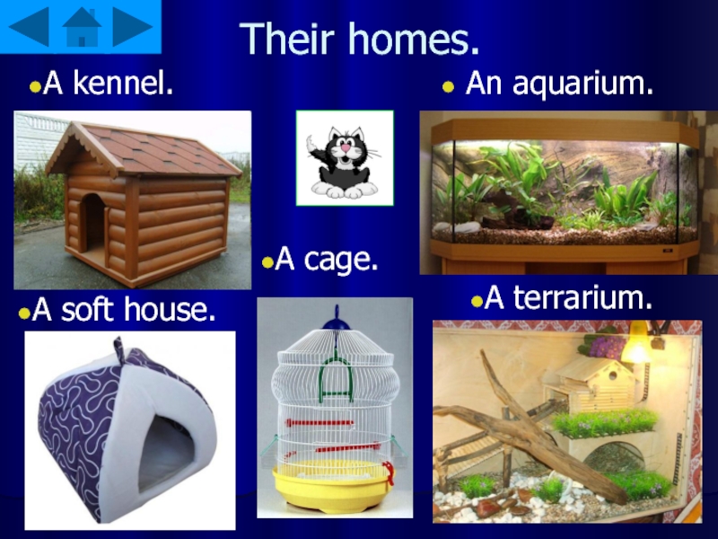 Their homes. An aquarium.A kennel.A cage.A terrarium.A soft house.