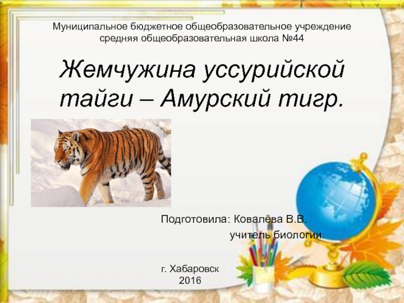Презентация Амурский тигр-жемчужина уссурийской тайги