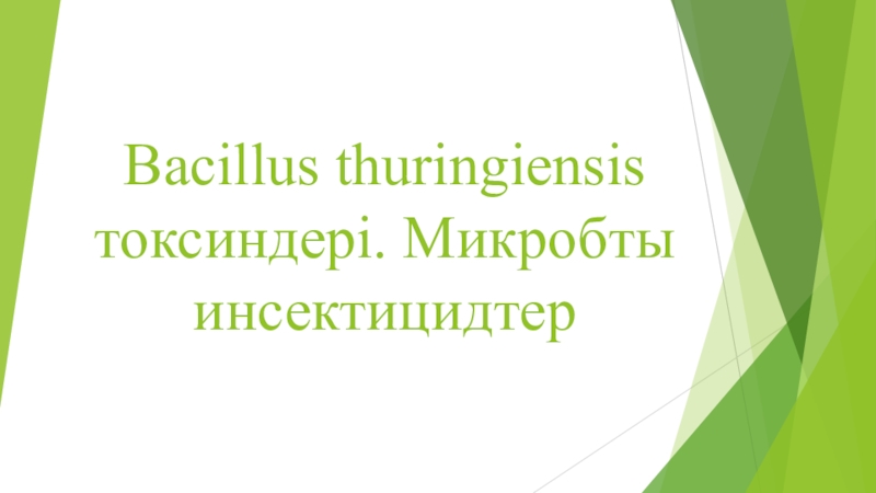 Презентация Bacillus thuringiensis токсиндері. Микробты инсектицидтер