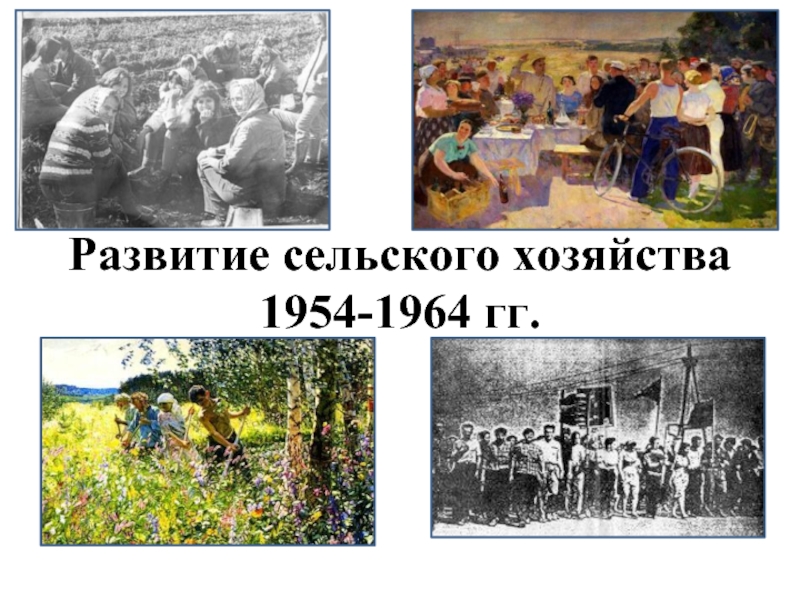 Презентация Развитие сельского хозяйства 1954-1964 гг