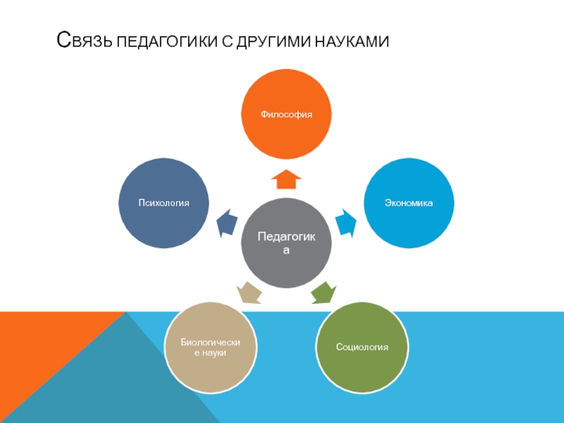 Другие знания. Педагогика и философия взаимосвязь. Связь философии с другими науками. Связь философии с другими науками схема. Философия науки связь в другими науками.