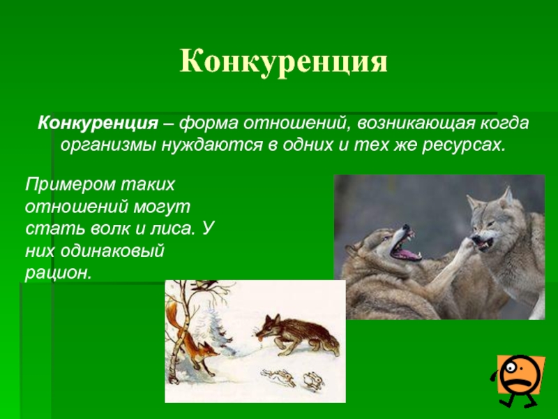 Конкуренция связь. Конкуренция в биологии. Консуменция в биологии. Конкурентные отношения примеры. РЕКУРРЕНЦИЯ В биологии.