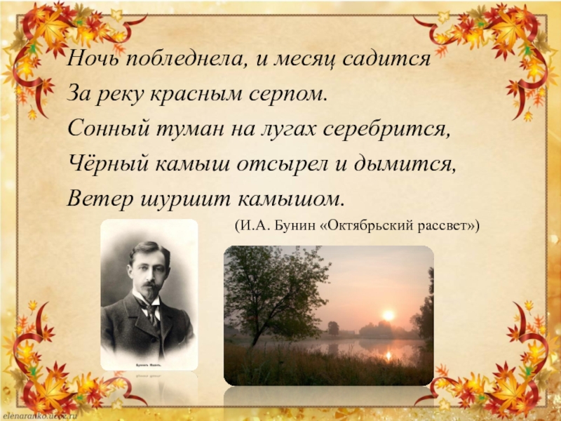 Презентация Тексты публицистического стиля