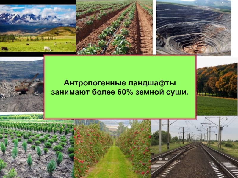 По рисунку 205 опишите природные и природно антропогенные комплексы японии найдите на карте города