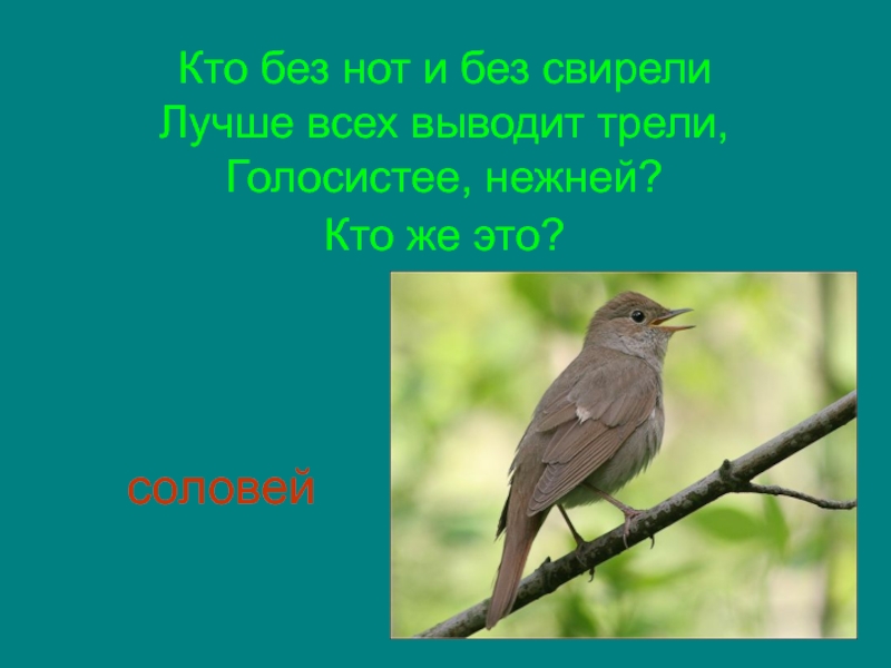 Кто без нот и без свирели  Лучше всех выводит трели,  Голосистее, нежней?  Кто