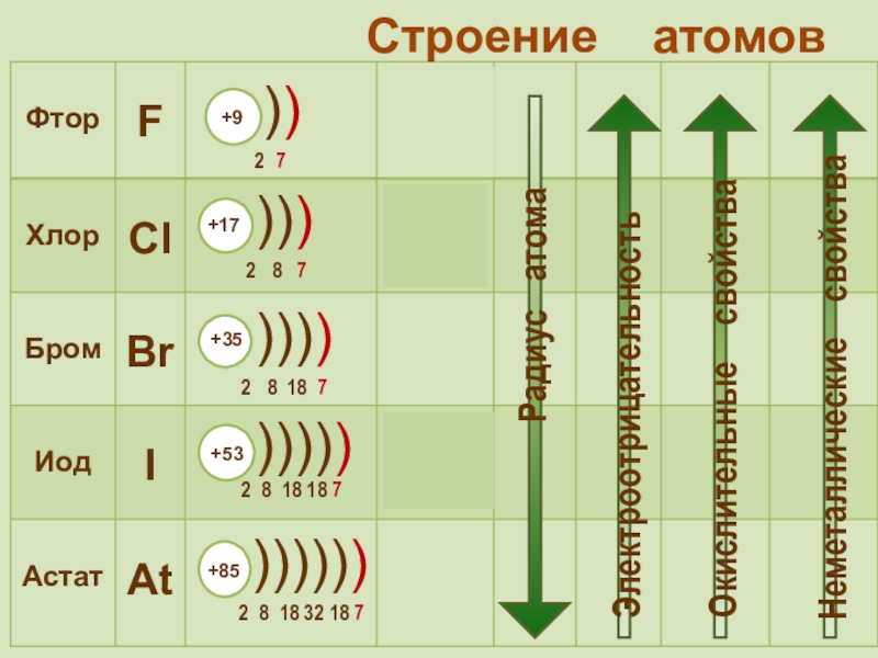 Строение атома проект