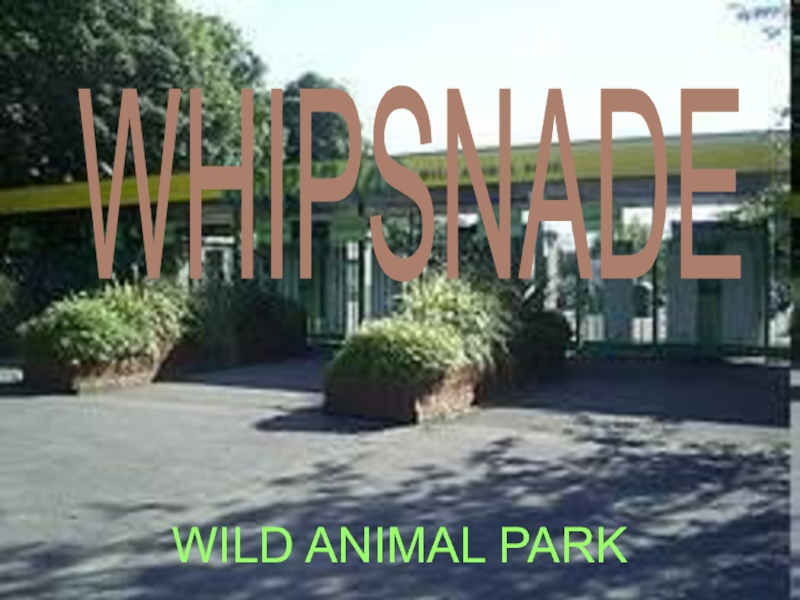 Презентация Whipsnade Wild Animal Park 6 класс