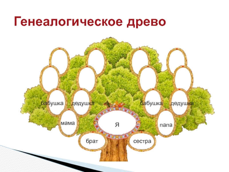 Родословная родословное древо история семьи 2 класс. Родословное дерево. Генеалогическое Древо моей семьи. Генеалогическое Древо макет. Родословная дерево.