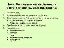 Тема: Биологические особенности роста и плодоношения крыжовника