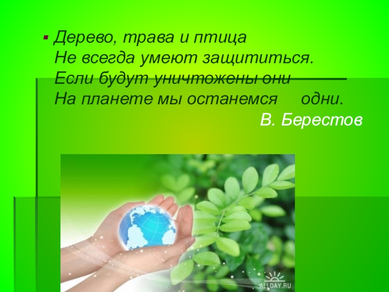 Всегда умею. Дерево трава и птица не всегда умеют защититься. Стих дерево трава и птица не всегда умеют защититься. Дерево цветок и птица не всегда умеют защититься. В Берестов дерево трава цветок и птица.