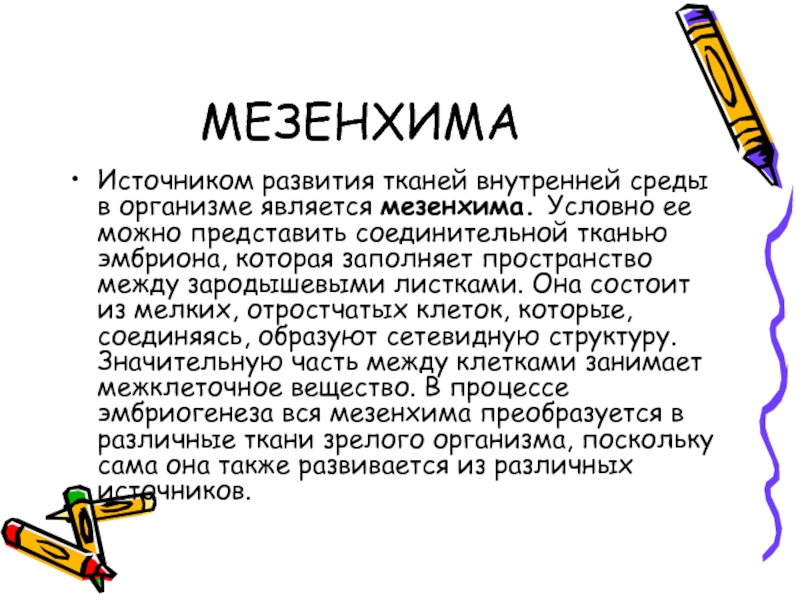 Источник развития. Мезенхима эмбриональная соединительная ткань. Тканей внутренней среды мезенхима. Мезенхимные ткани источник. Источники развития мезенхимы.