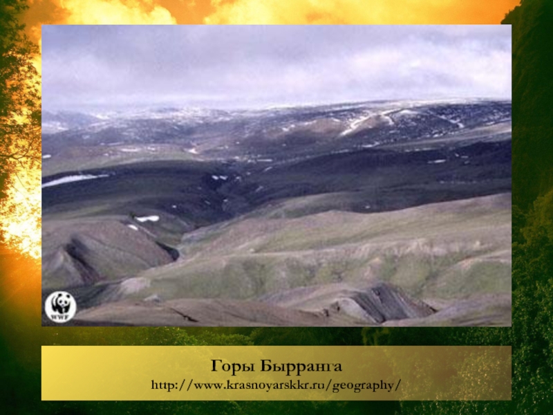 Формы рельефа средней сибири. Горы Бырранга рельеф. Средняя Сибирь горы Бырранга. Форма рельеф гор Бырранга. Горы Бырранга форма рельефа.