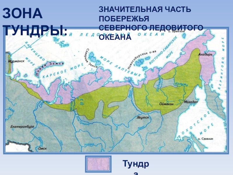 Тех карта тундра 4 класс окружающий мир