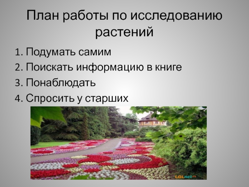 План исследования растения. Освоение растениями суши презентация. План к изучению растения 4 класс. Исследовательская работа растения ловушки 1 класс.