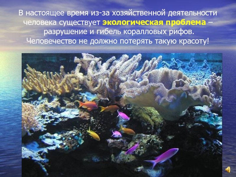 В настоящее время из-за хозяйственной деятельности человека существует экологическая проблема –   разрушение и гибель коралловых