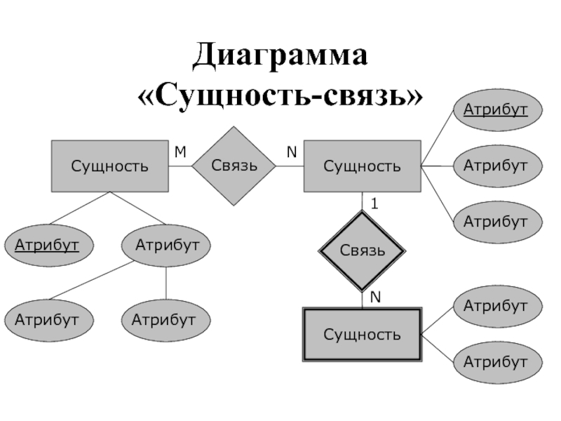 База данных сущность связь. Атрибуты сущности база данных. Диаграмма сущность-связь. Диаграмма сущность связь БД. Диаграммы сущностей-связей (entity relationship, er).