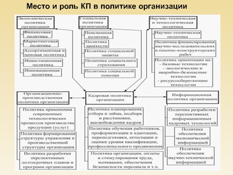 Политические организации. Аспекты формирования кадровой политики. Место и роль кадровой политики в политике организации. Место роль кадровой политики в общей организации. Место кадровой политики в политике организации.