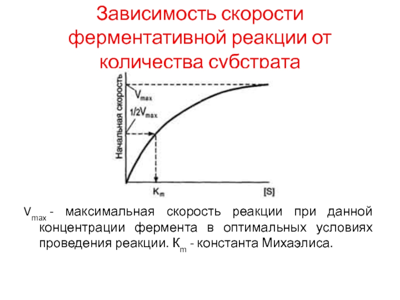 Зависимость ферментов от концентрации субстрата