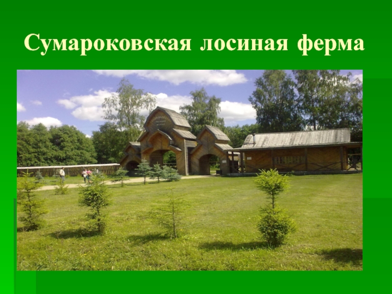Знакомство с Сумароковской лосефермой в Костромской области