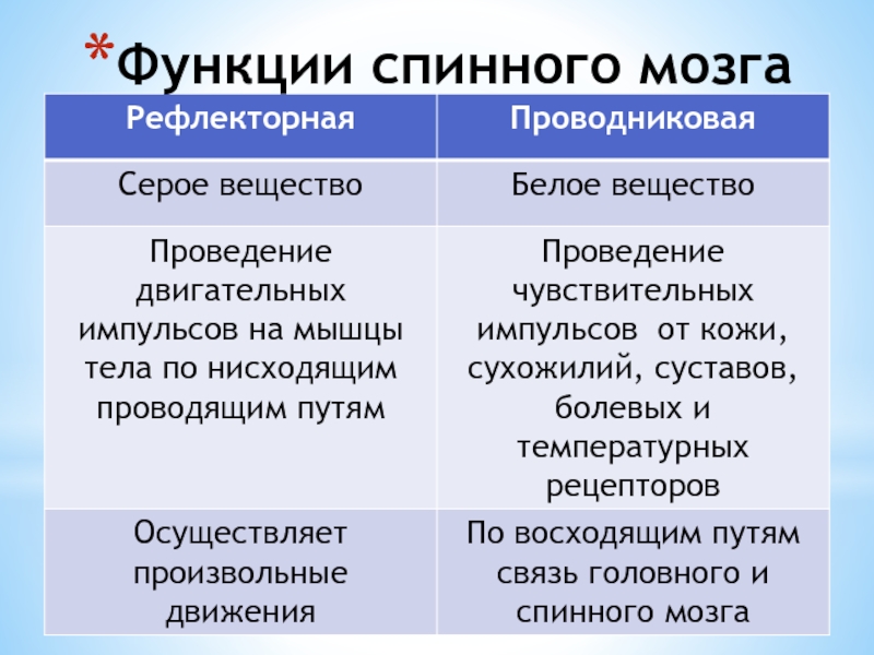 Структура функции спинного мозга. Функции серого вещества спинного мозга. Строение и функции спинного мозга мозга таблица. Функции серого и белого вещества спинного мозга. Серое вещество особенности строения и функции.