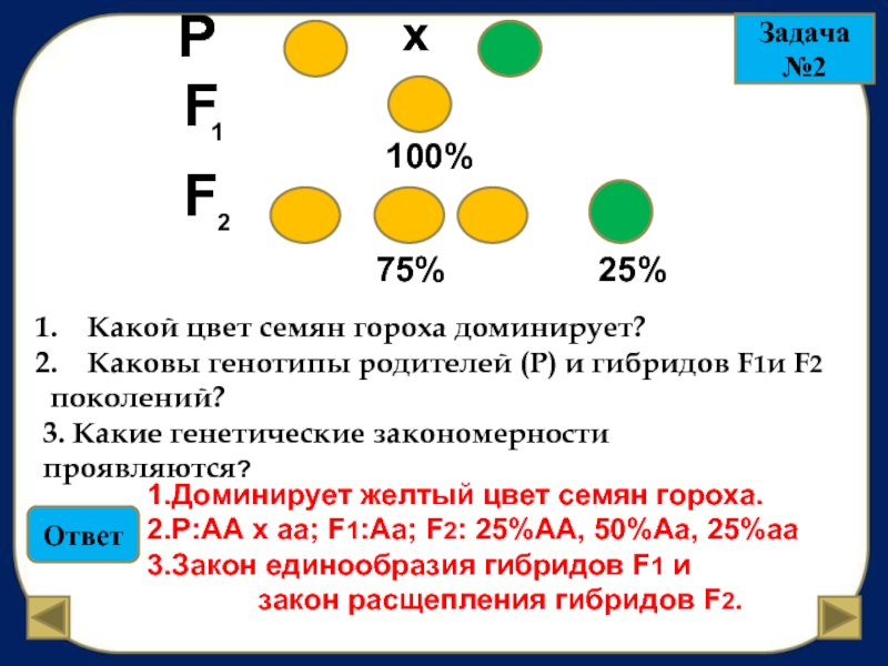 Генотипы гороха с желтыми семенами