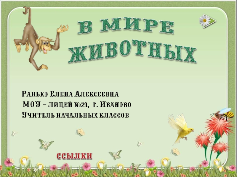 В мире животных