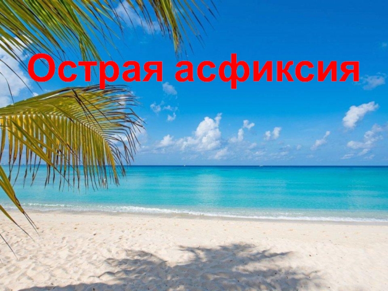 Презентация Острая асфиксия