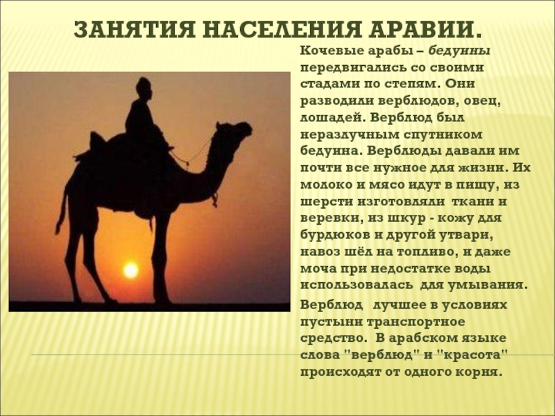 Араб 6 век. Занятия населения Аравии. Занятия населения Аравии занятия. Основное занятие арабов. Занятия арабов в средние века.