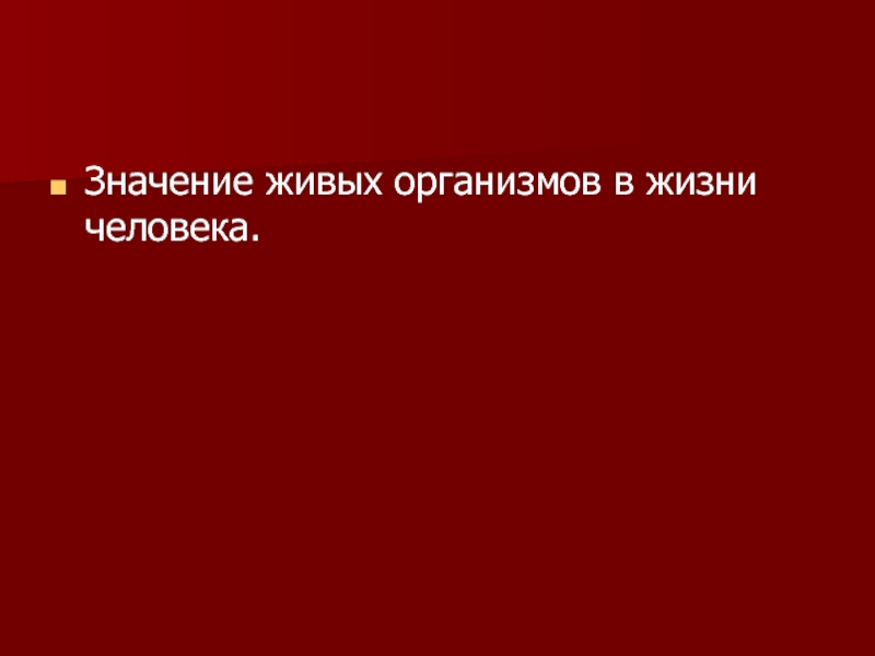 Какое значение для живых. Значение живых организмов в жизни человека. Значение живых организмов для человека. Значение живых организмов в природе и жизни человека рисунок. Значение живых организмов грибы.