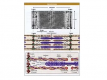 Консультация