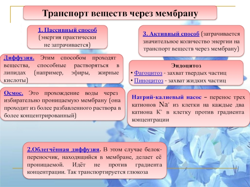 Пассивный транспорт. Пассивный транспорт веществ через мембрану клетки. Типы транспорта веществ через клеточную мембрану. Активный и пассивный транспорт веществ через мембрану. Активный и пассивный транспорт веществ через мембрану физиология.