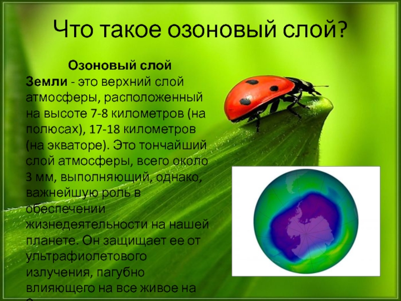 Кратко охарактеризуйте сущность проблемы озонового экрана и пути ее разрешения