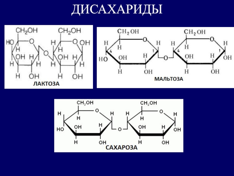 Картинка формулы лактозы