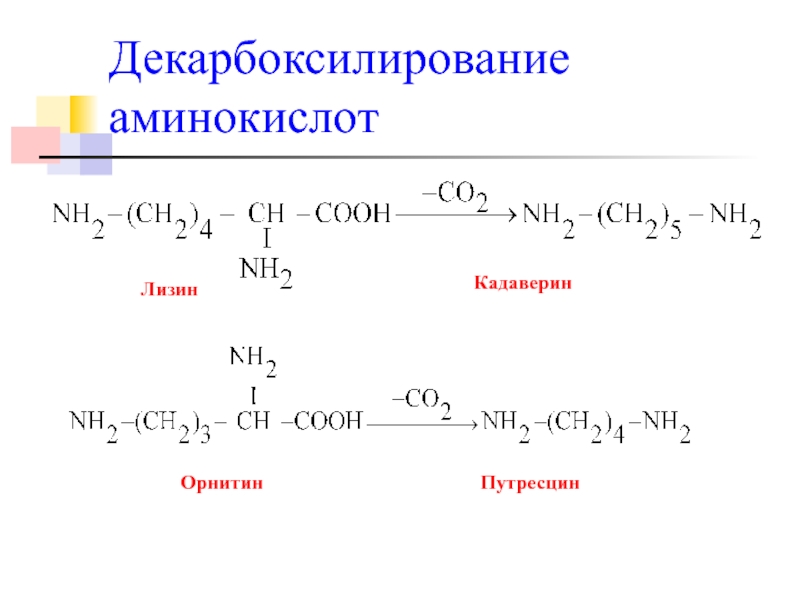 Кадаверин