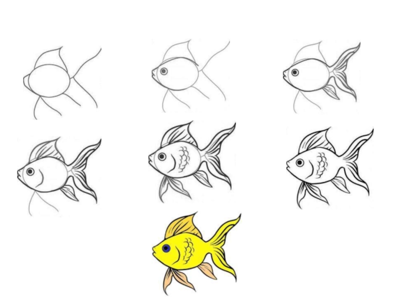 Рыбы рисунок 3 класс. Этапы рисования рыбки. Пошаговое рисование рыбки. Поэтапное рисование рыбки для дошкольников. Этапы рисования рыбы для детей.