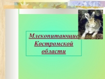 Млекопитающие Костромской области