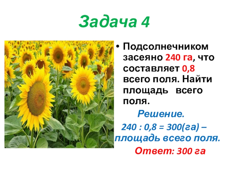 Фермер засеял подсолнечником 2 7 поля площадь