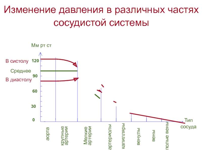 Как изменяется давление в сосудах. Изменения давления в разных частях сосудистой системы.. График изменения давления в разных частях сосудистой системы. График изменения давления в сосудистой системе. Изменение ад.