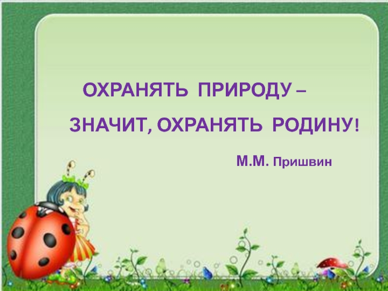 Охранять природу значит охранять родину. Охранять природу значит охранять родину пришвин. Пришвин охранять природу. Охранять природу – значит охранять родину. М.пришвин.