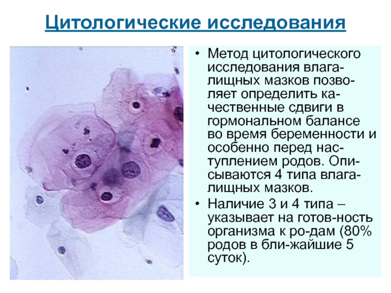 Цитологические исследования презентация