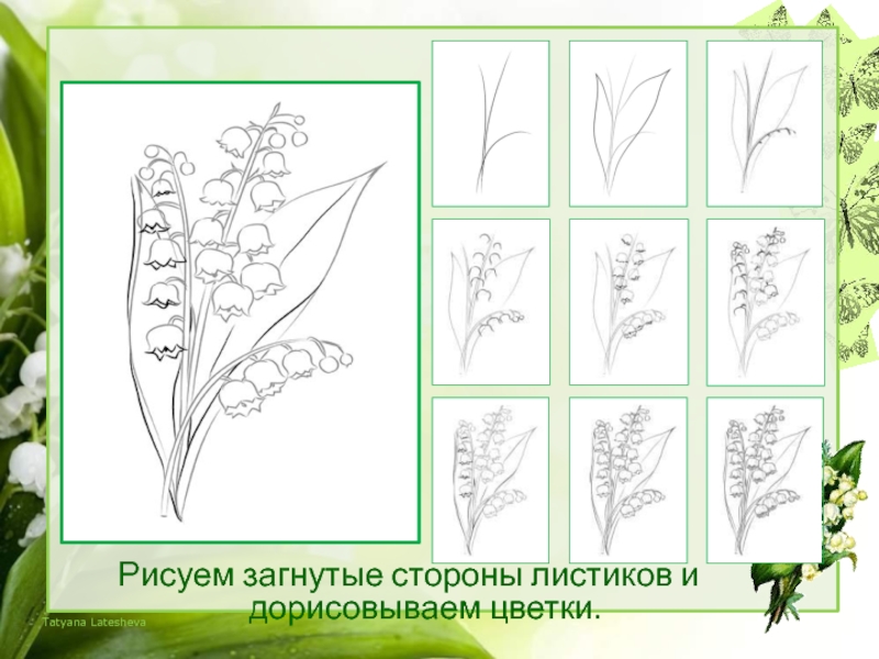 Нарисовать ландыши 2 класс