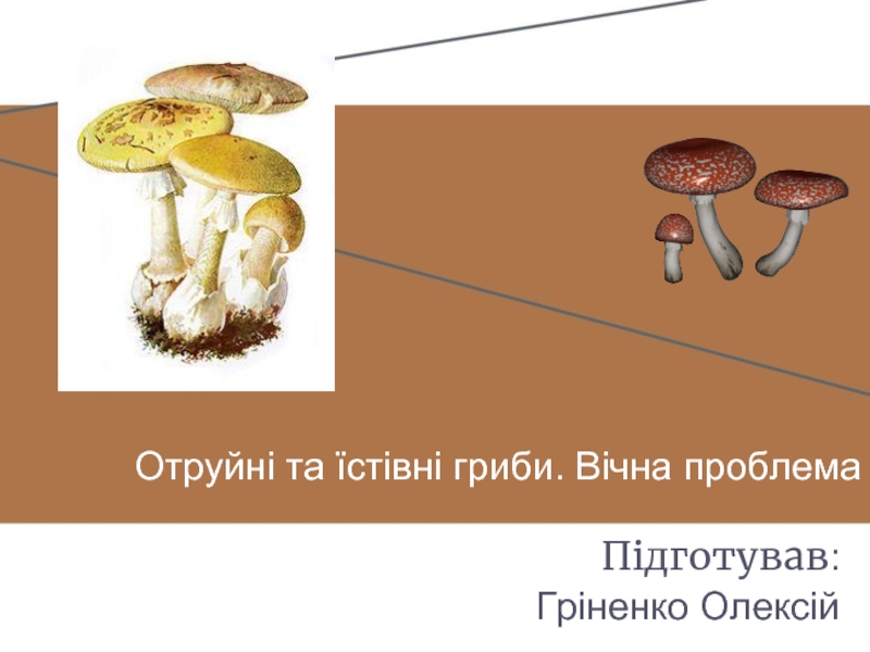 Презентация Отруйні та їстівні гриби