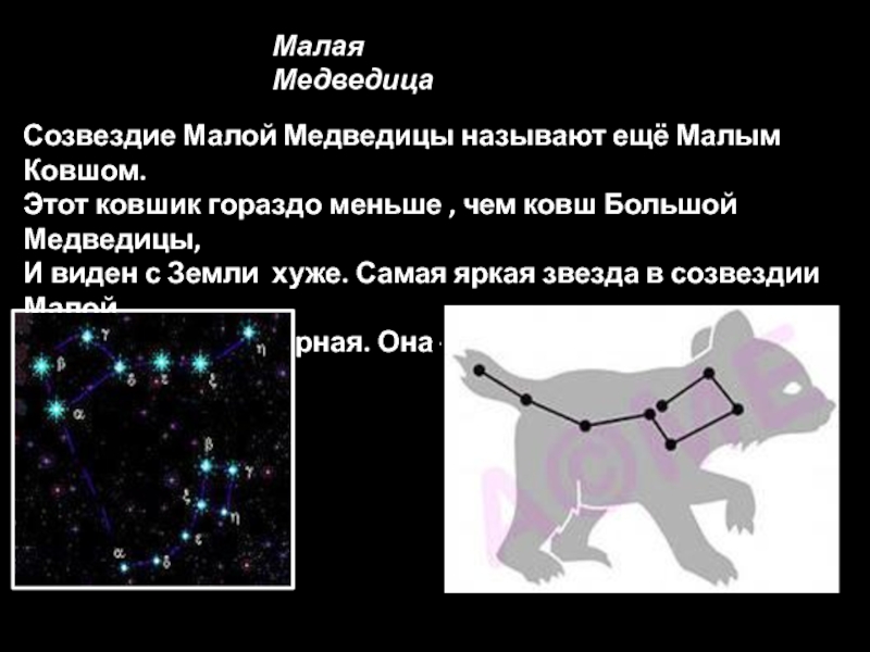 История как появилась большая медведица