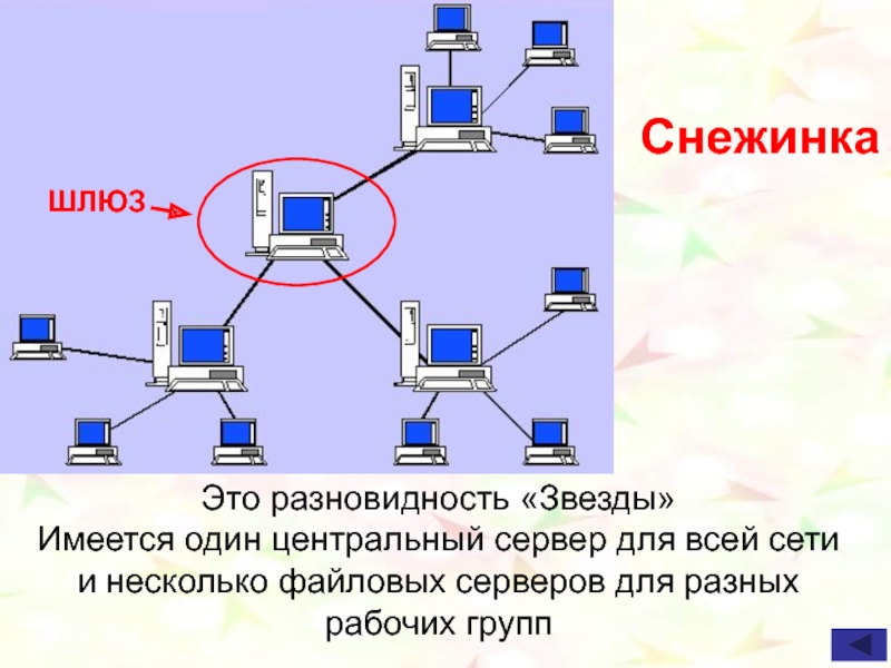 Схемы соединения компьютеров в сети