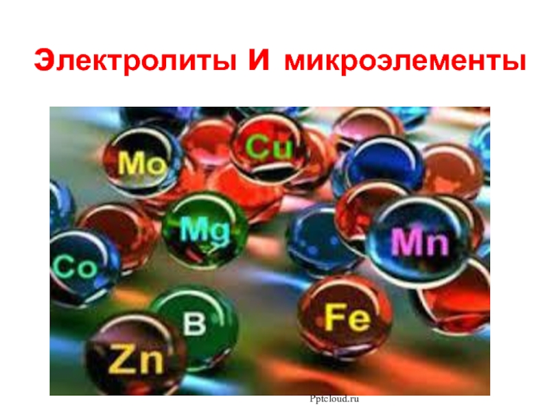 э лектролиты и микроэлементы
Pptcloud.ru