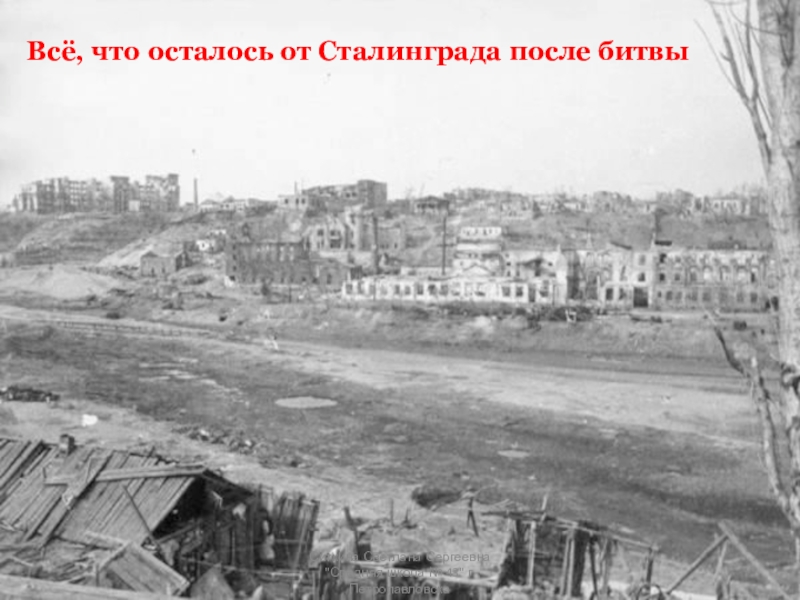 Всё, что осталось от Сталинграда после битвыСиткина Светлана Сергеевна 