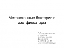 Метаногенные бактерии и азотфиксаторы